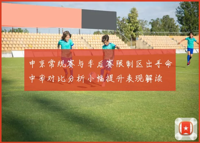 申京常规赛与季后赛限制区出手命中率对比分析小幅提升表现解读