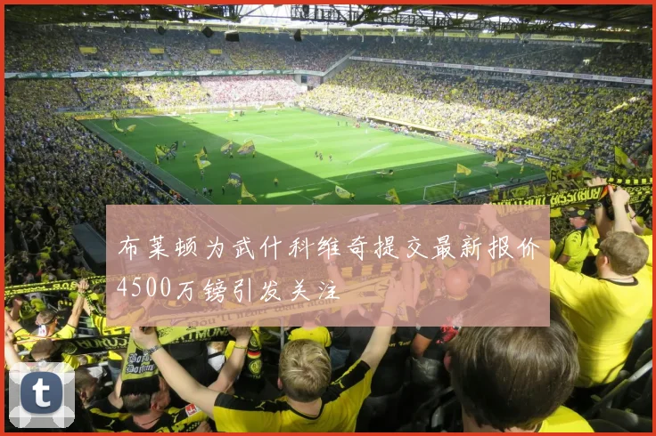 布莱顿为武什科维奇提交最新报价4500万镑引发关注