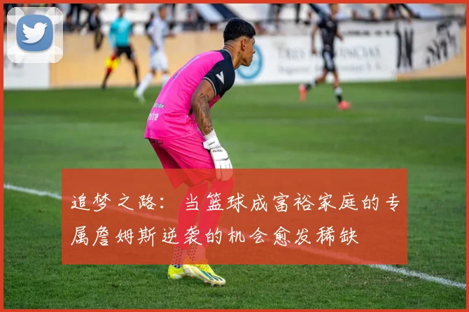 追梦之路：当篮球成富裕家庭的专属詹姆斯逆袭的机会愈发稀缺